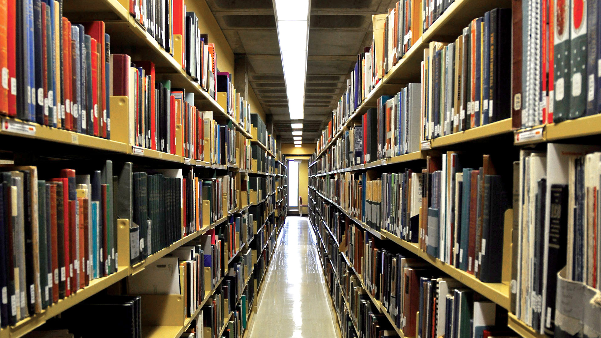 ￼Case of Book Missing from Tisch Stacks Turns Cold
